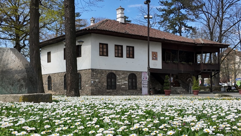 Parkovi kao tepih: bele rade ovog proleća preplavile Kraljevo (VIDEO ...
